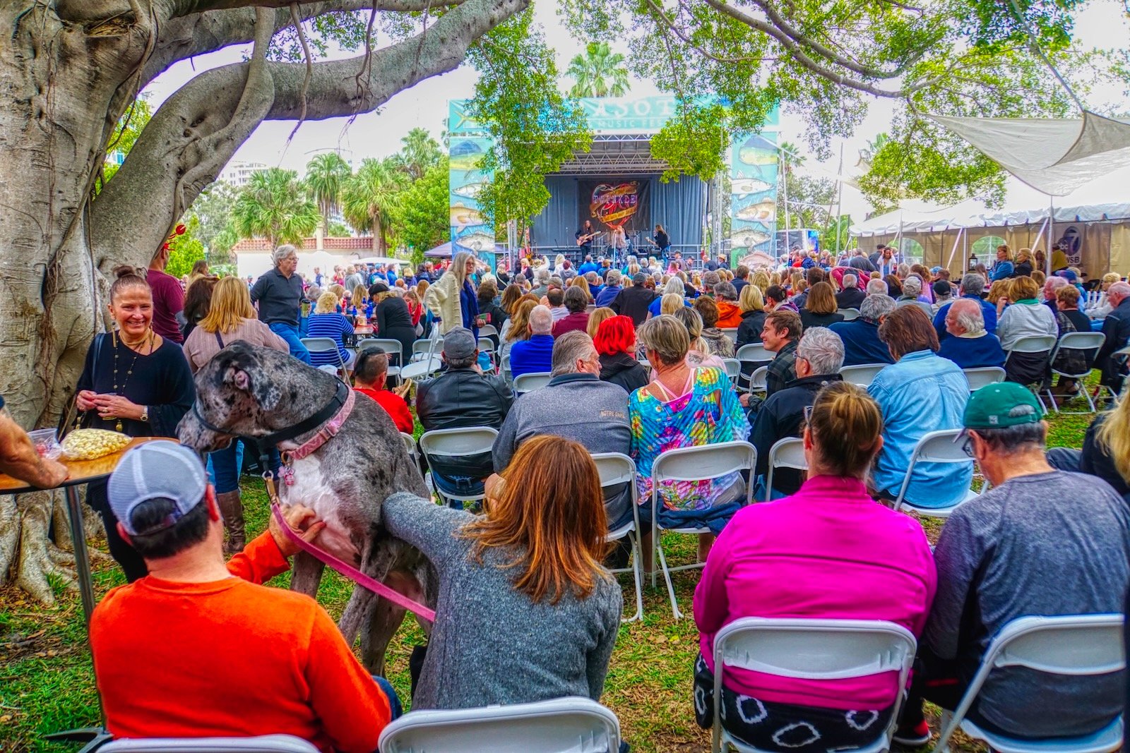 Sarasota crowd favorite Twinkle performs at the Sarasota Seafood & Music Festival