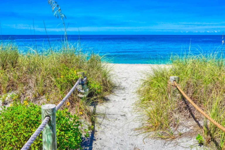 turtle beach siesta key