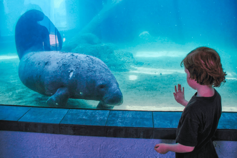 discover marine life img