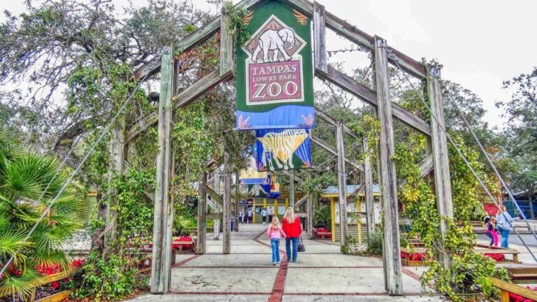 ZOO TAMPA DSC01184 8 11zon