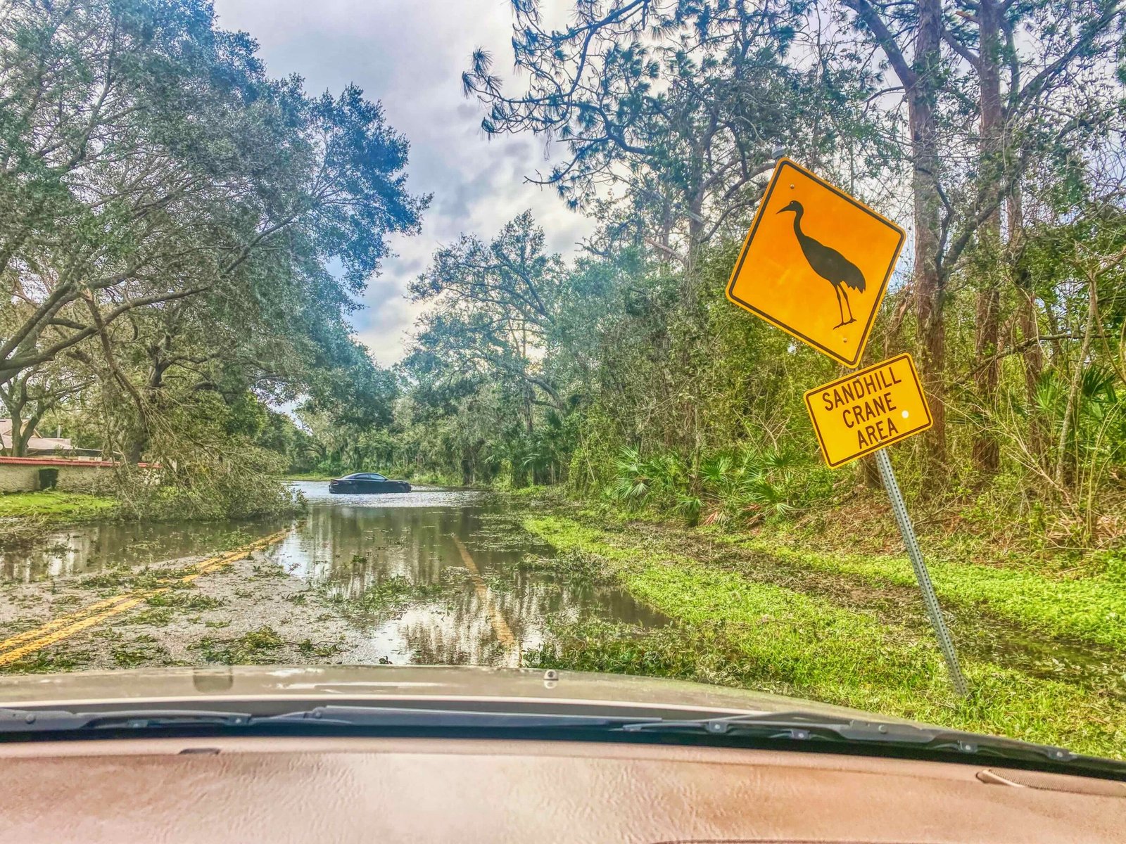 hurricane sarasota