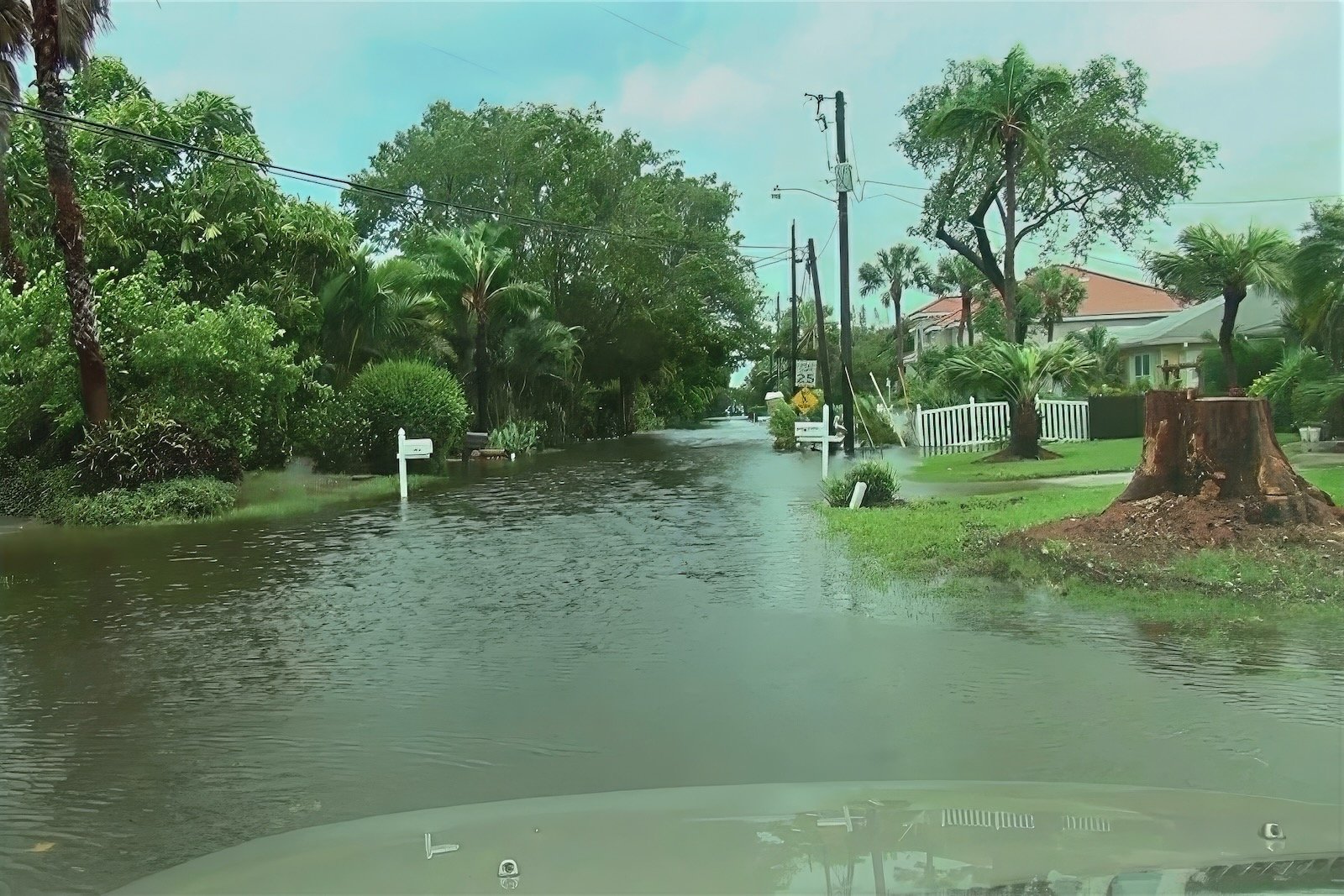 Residential Sarasota street flooding after Hurricane Milton with palm trees and standing water