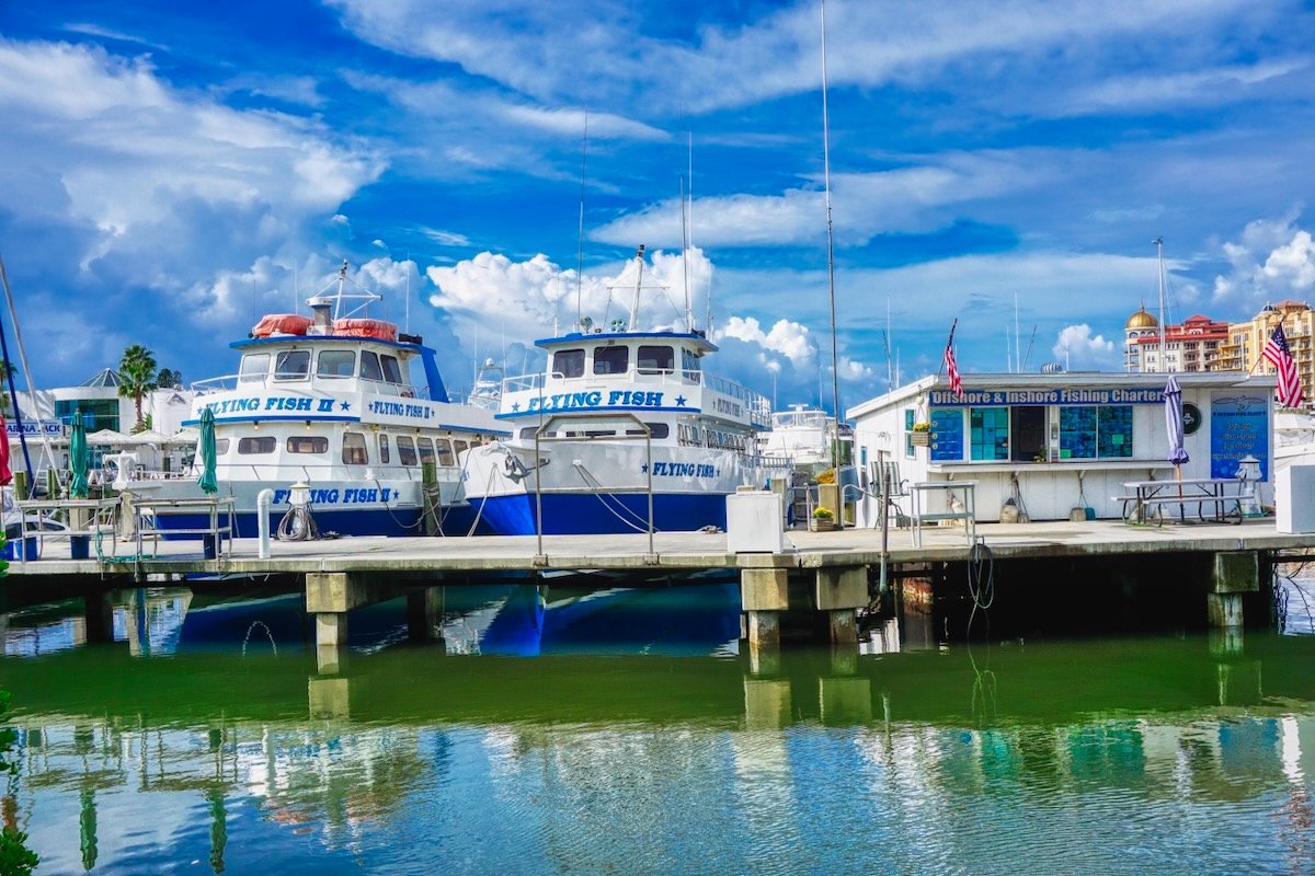 flying fish sarasota