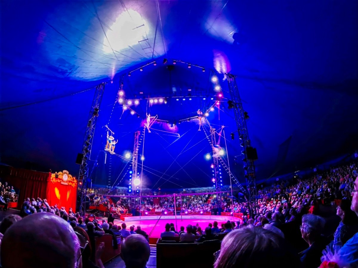 circus sarasota