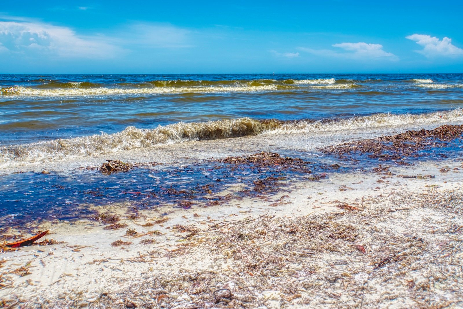 red tide florida lake okeechobee