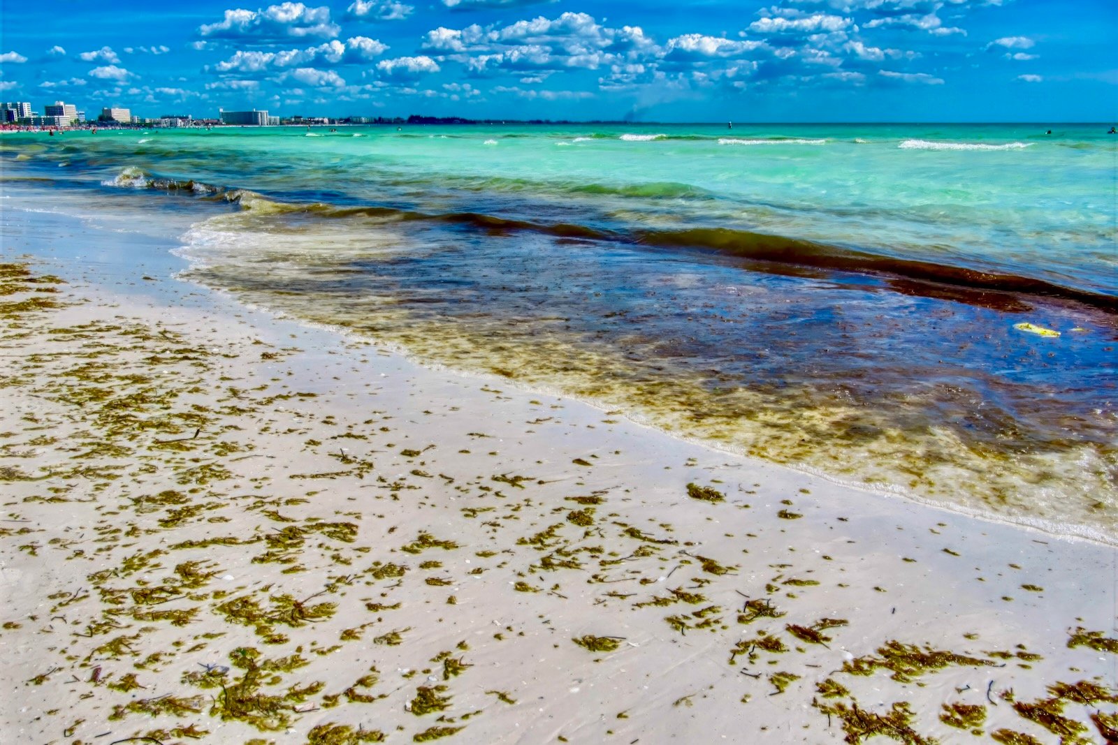 Patchy brown Gulf waters seen from above during Sarasota Red Tide bloom