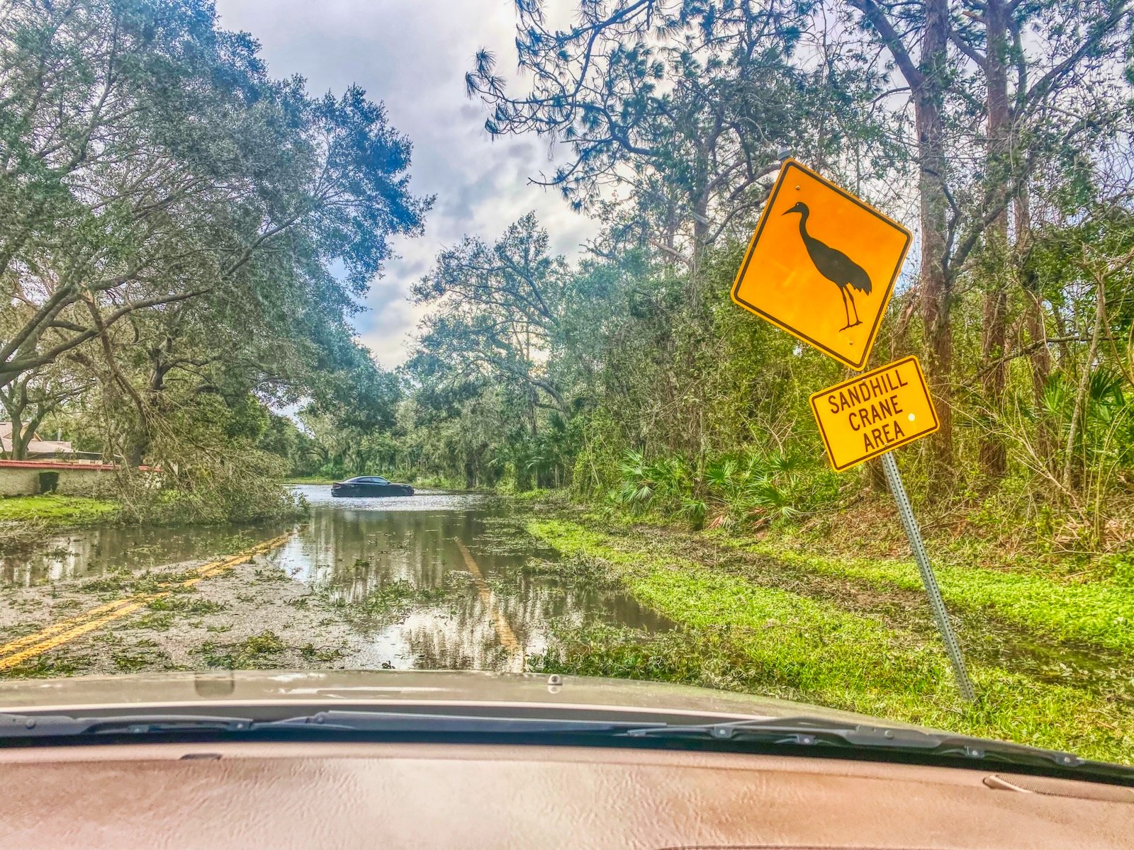 hurricane-survival-sarasota