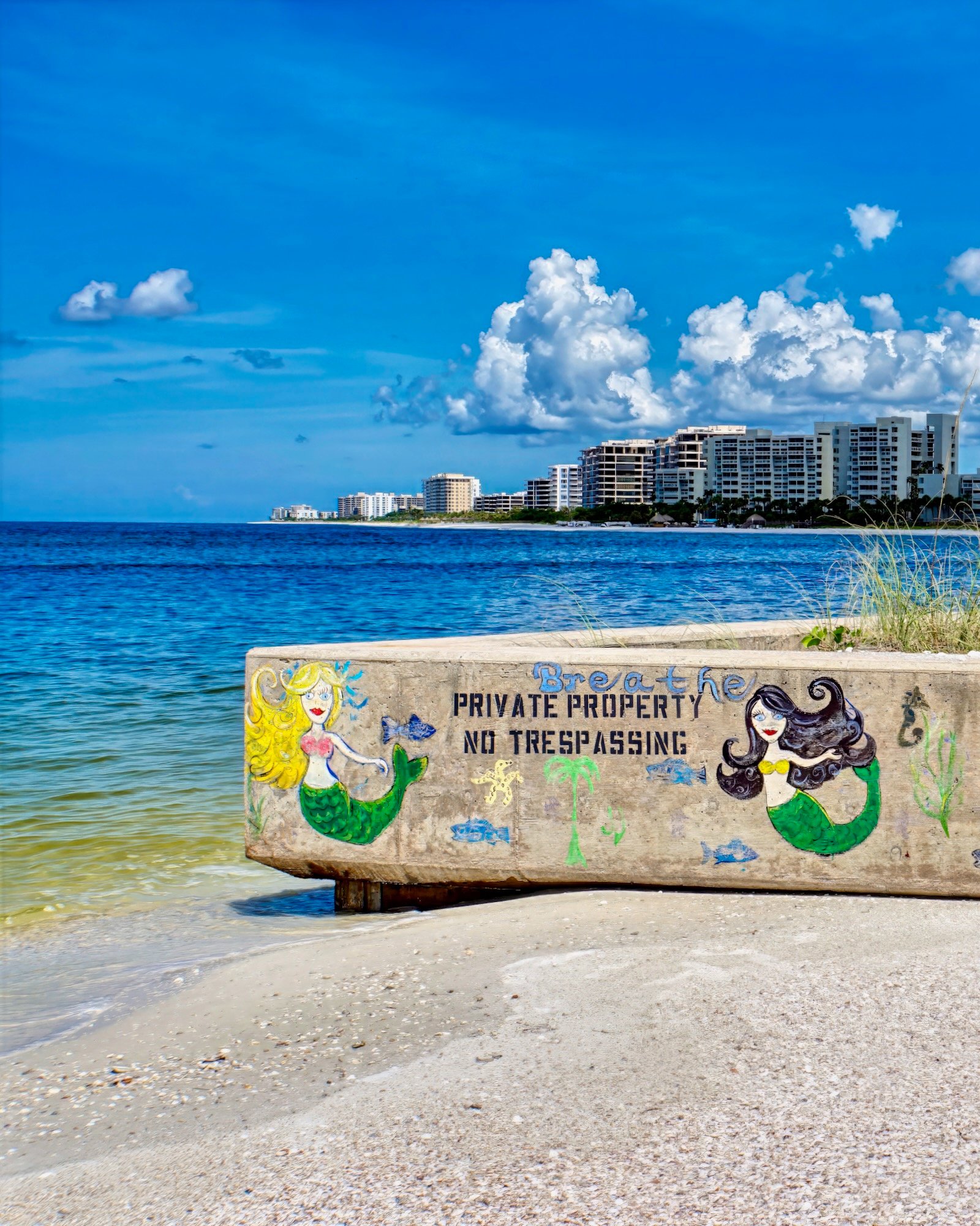 Popular Sarasota murals include the North Lido Beach mermaid wall.