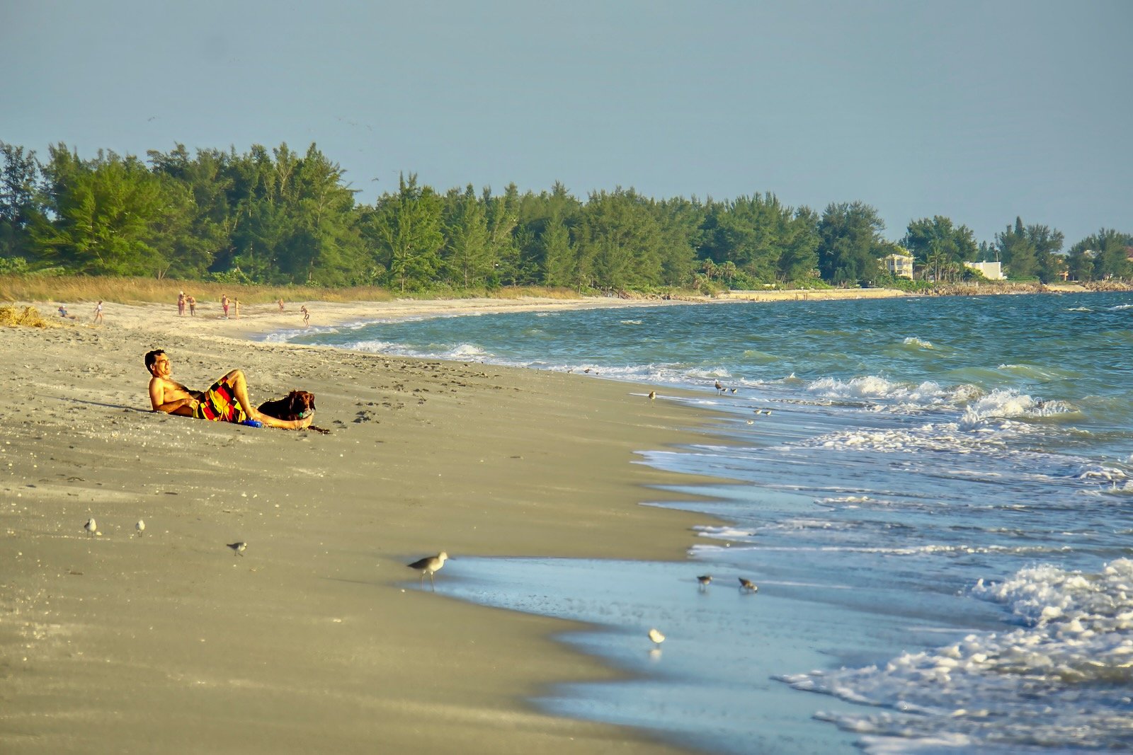 reclining with furry friend at Turtle Beach Siesta Key