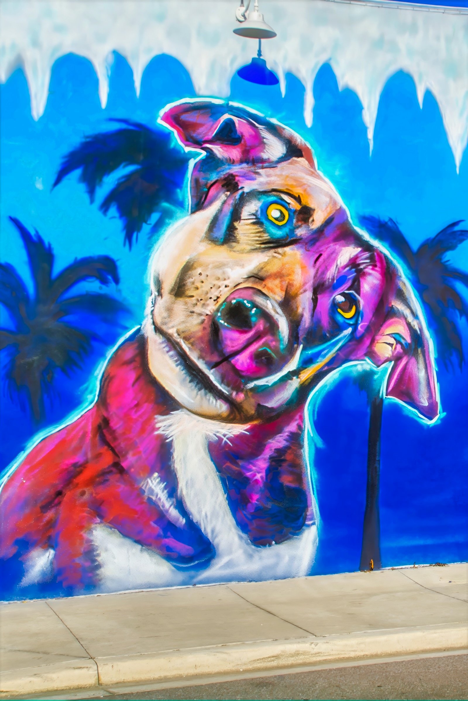 dog at Boo's Ice House & Dog Bar sarasota murals