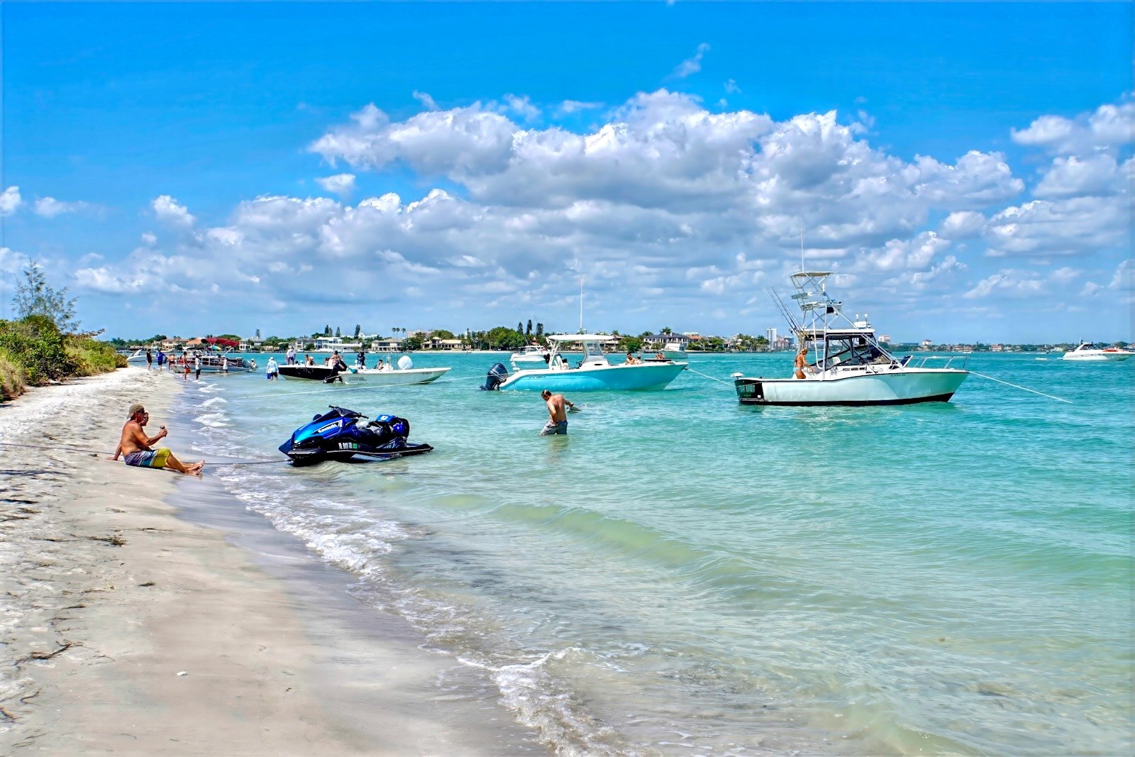 South Lido Beach Florida attracts nature loves to Big Pass