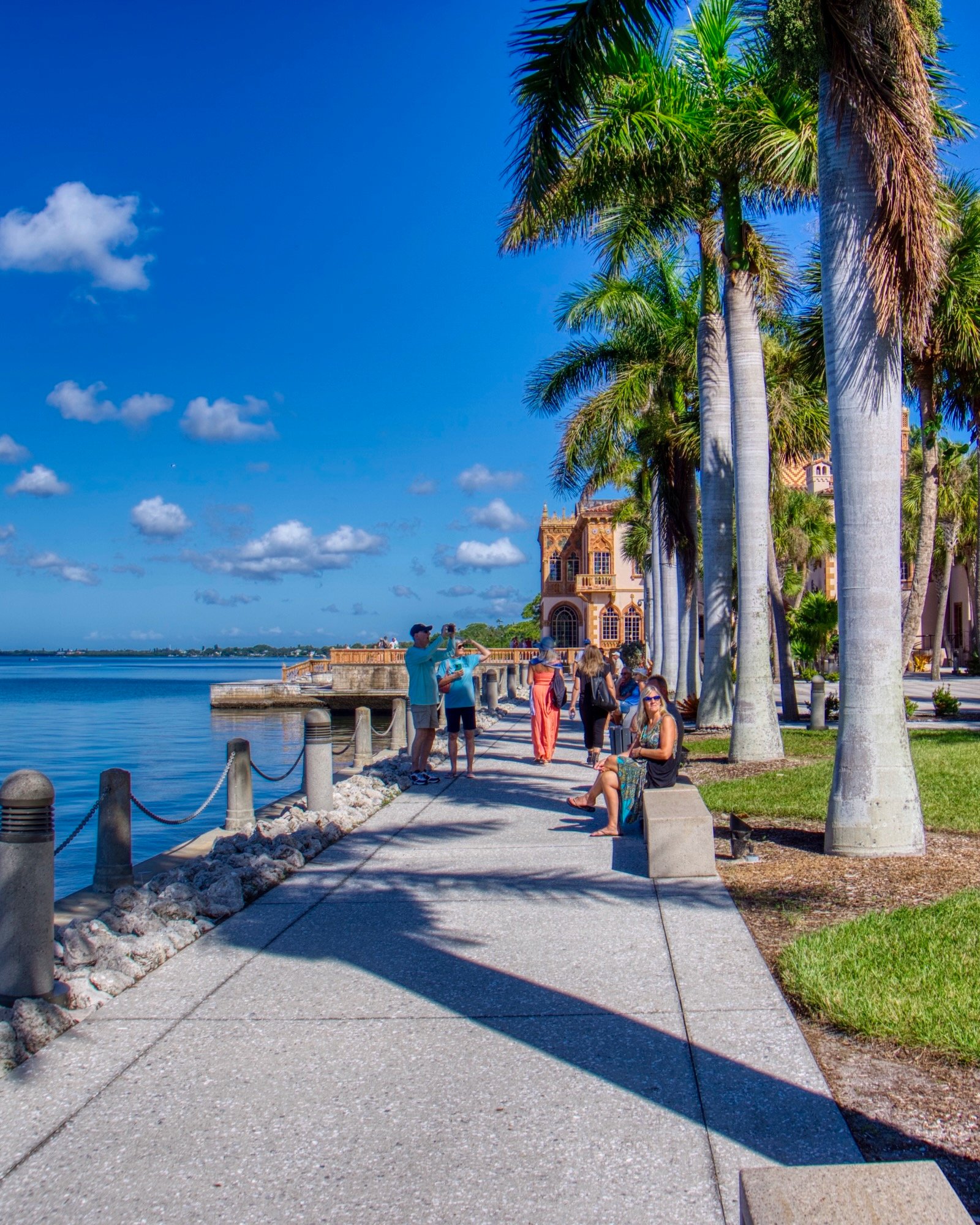 ca d zan Sarasota palm tree lined walkway against Sarasota Bay