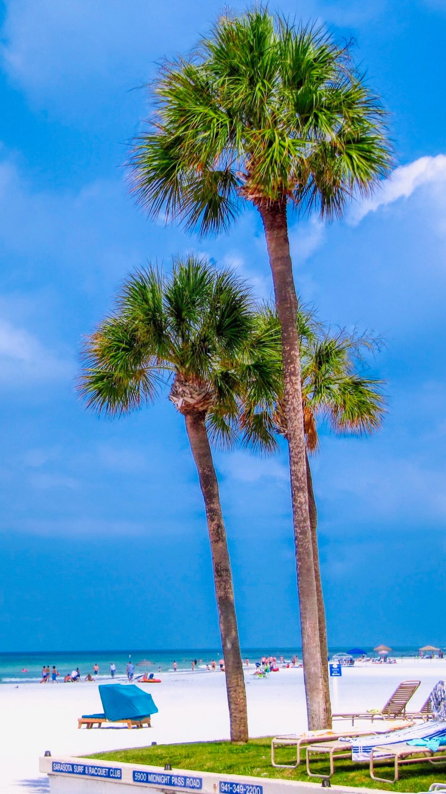 Palm Bay Club on Crescent Beach near Point of Rocks Siesta Key