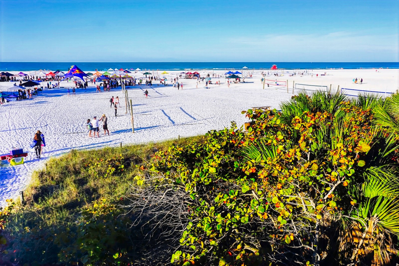 siesta key activities