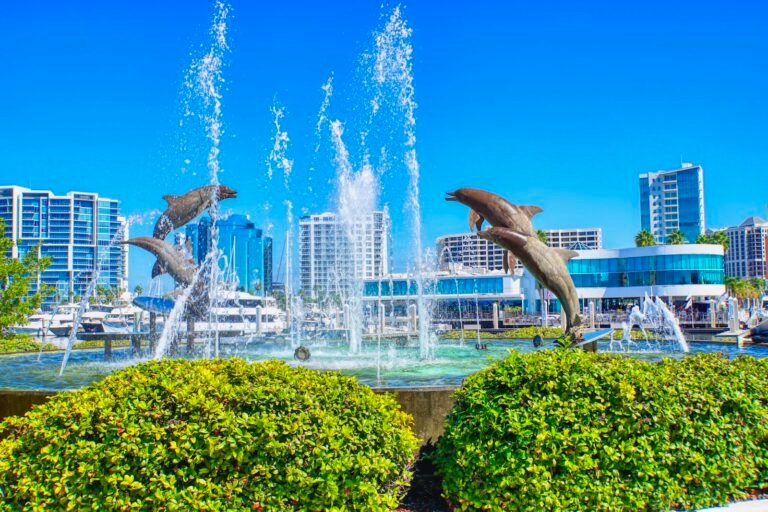 dolphins at Bayfront Park Sarasota