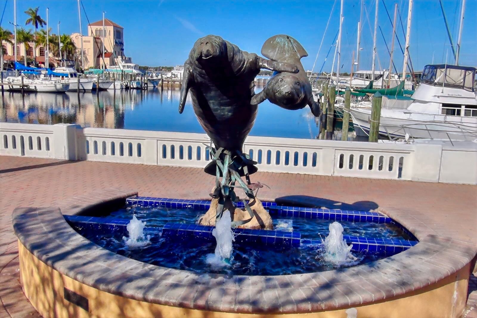 manatee statue at the Bradenton Riverwalk