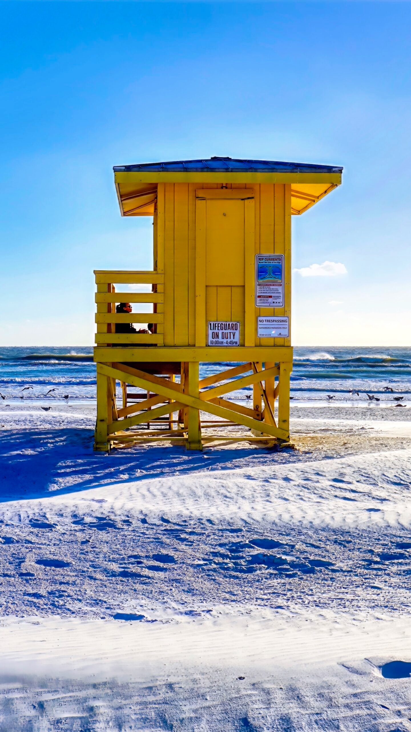 On a cold Winter's day, the yellow stand endures - Sarasota lifeguard stands