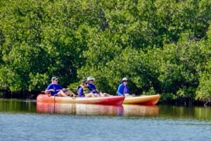 kayaking at Ted Sperling Park at South Lido Beach Nature Park