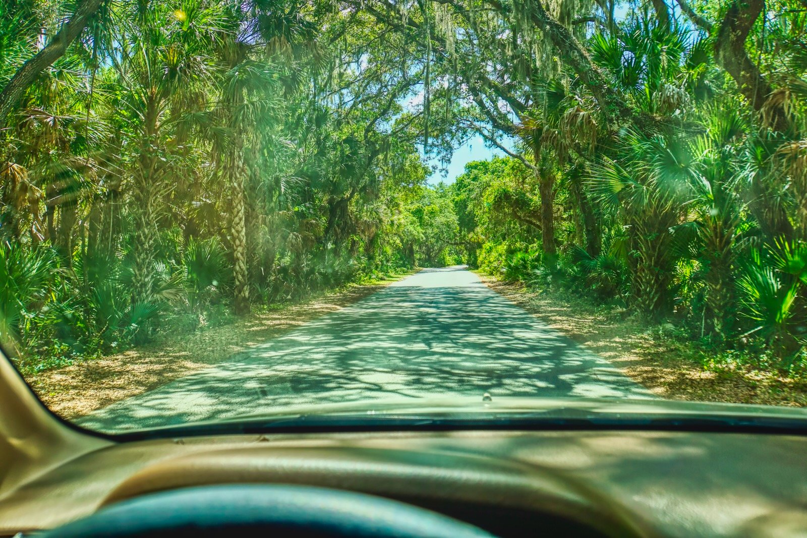 welcome to Oscar Scherer State Park & Campground
