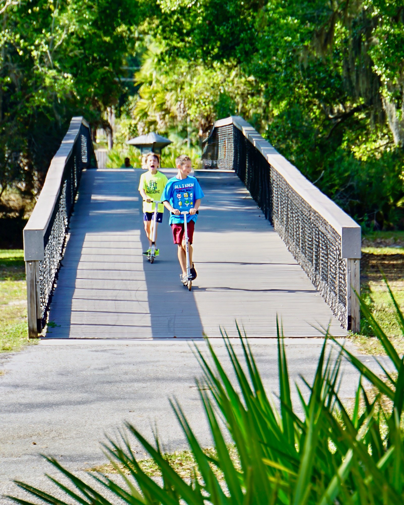 kids racing scooters over the bridges and around Urfer Park Sarasota