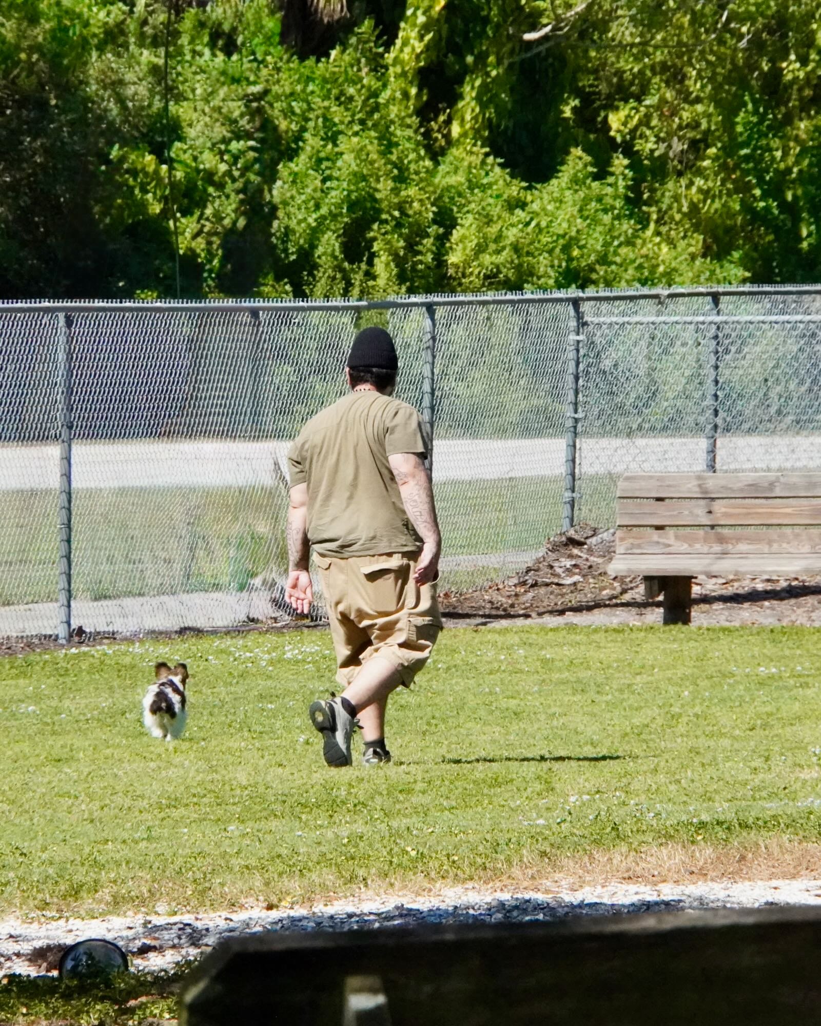 dogs run off leash at the 17th Street Dog Park Sarasota