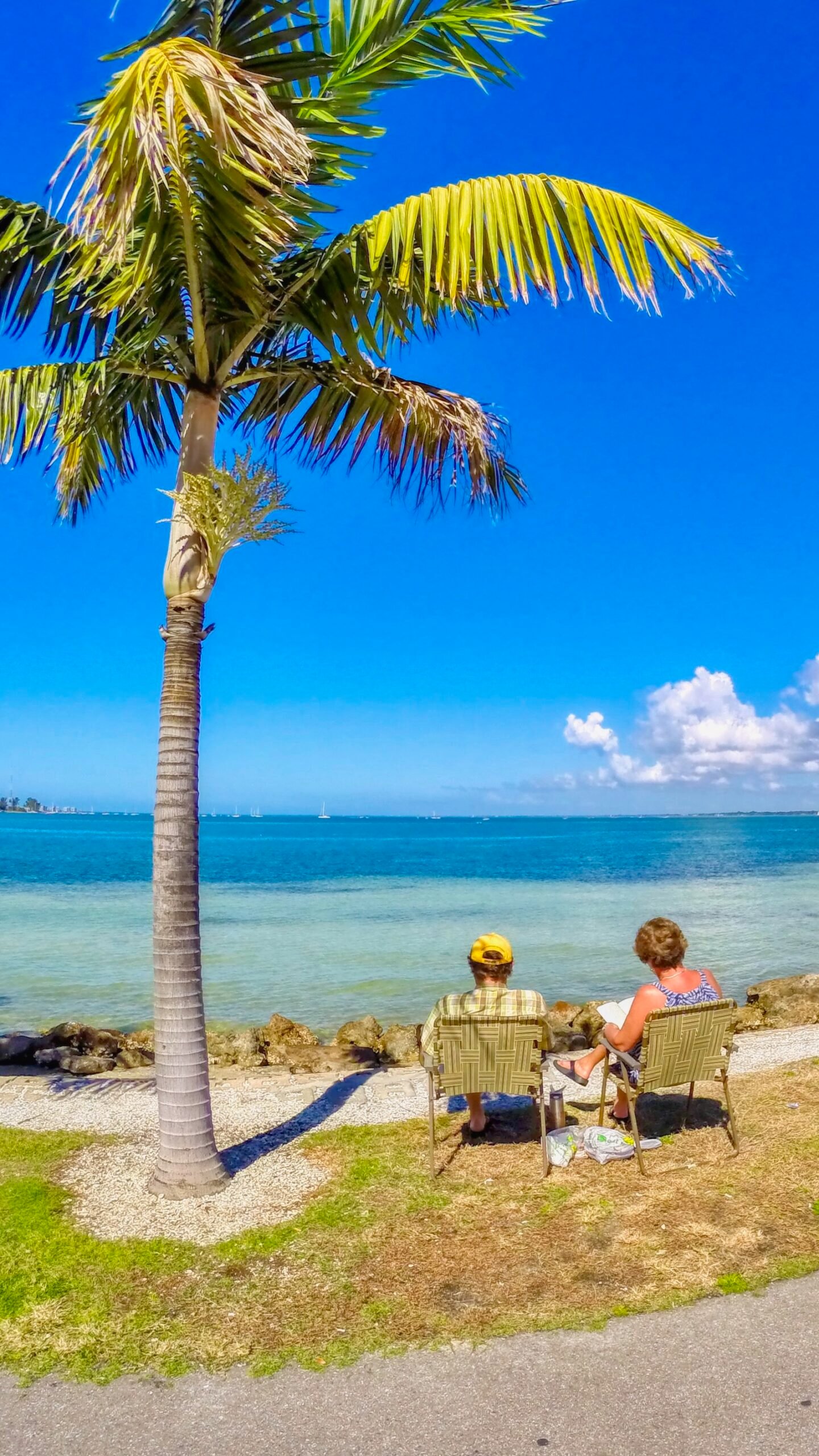 glassy Bay water at Bird Key Park Sarasota