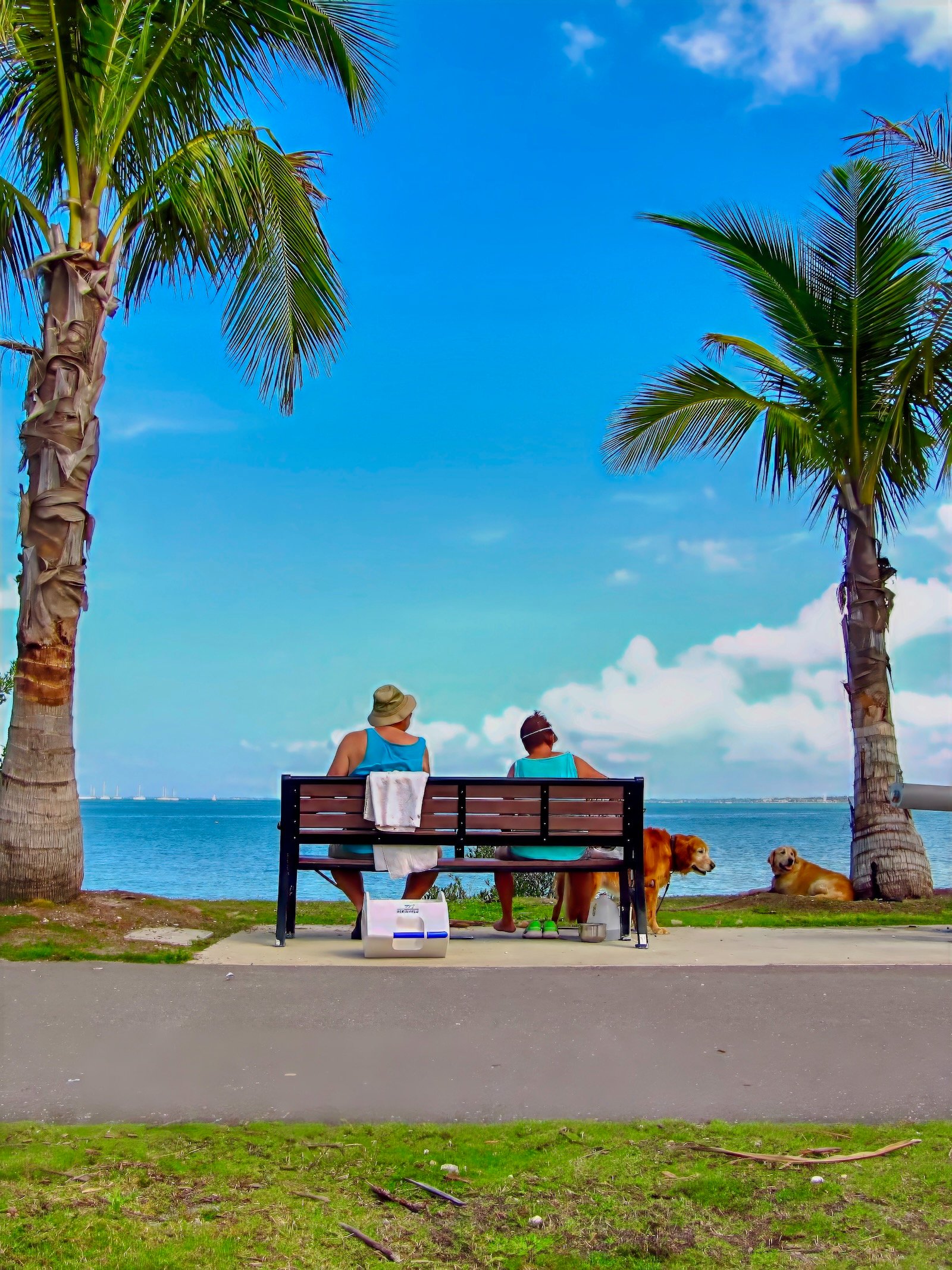 dropping by Bird Key Park Sarasota with the two dogs