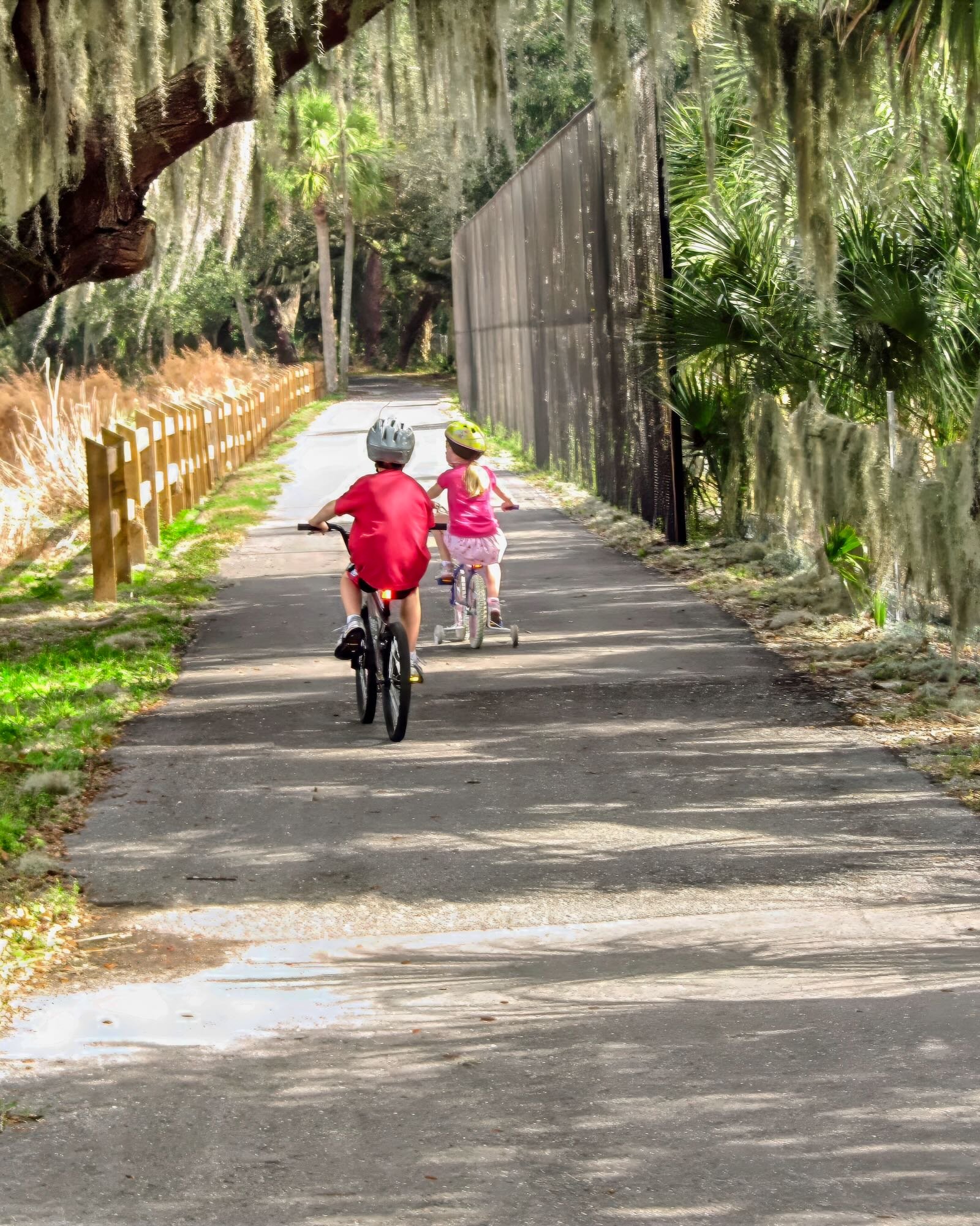 kids race their bikes around rothenbach park Sarasota
