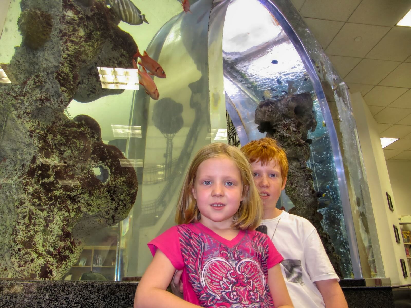 arched aquarium at Selby Library in Downtown Sarasota - fun activities for kids in Sarasota