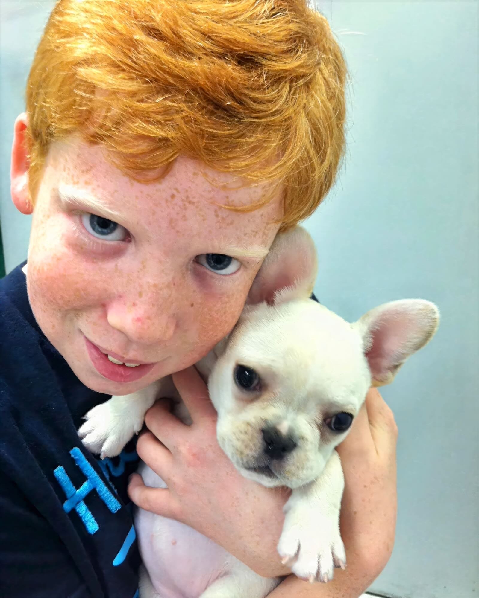 boy and a dog at lakeview paw park sarasota