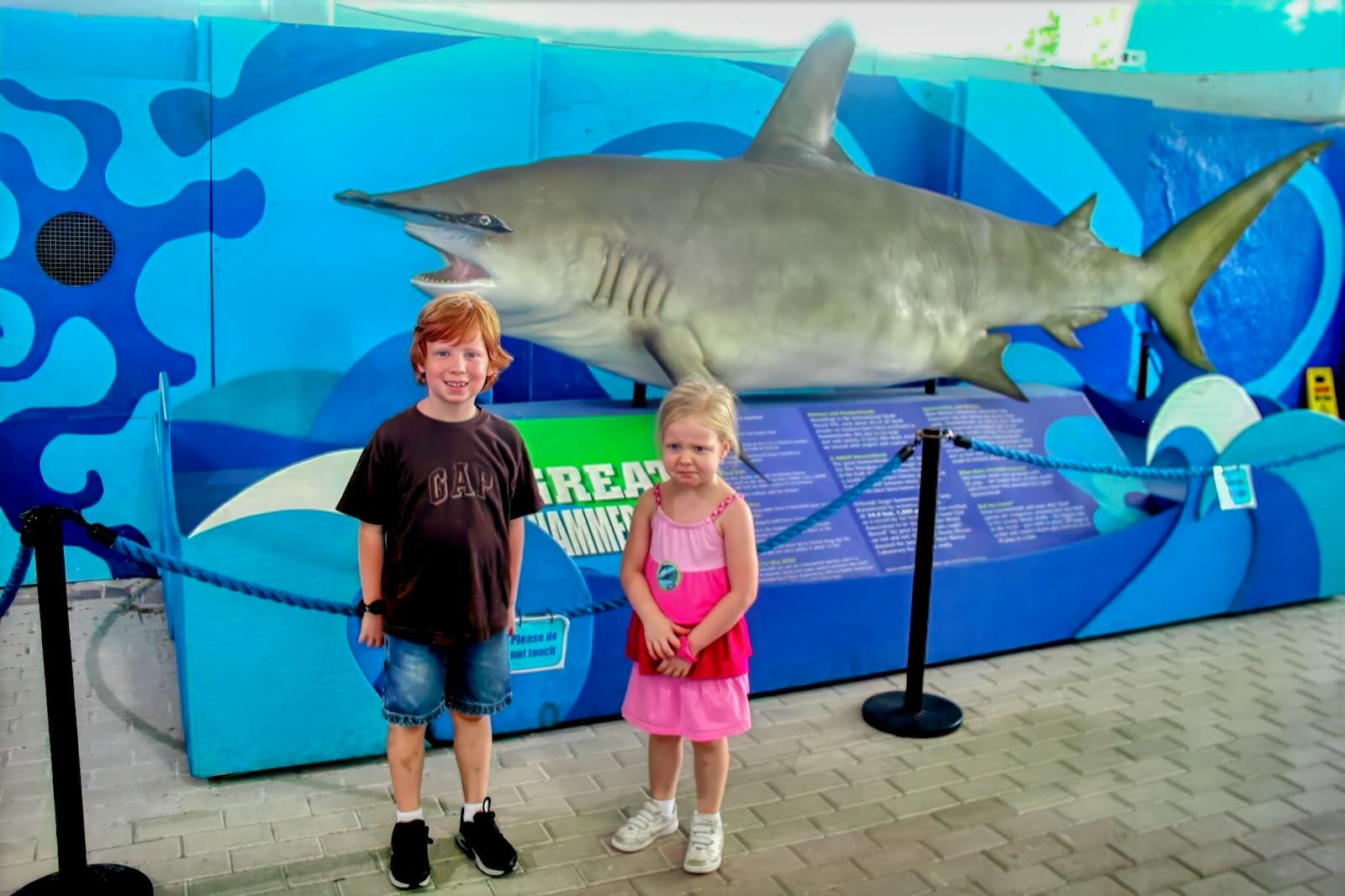 Mote Marine - fun activities for kids in Sarasota