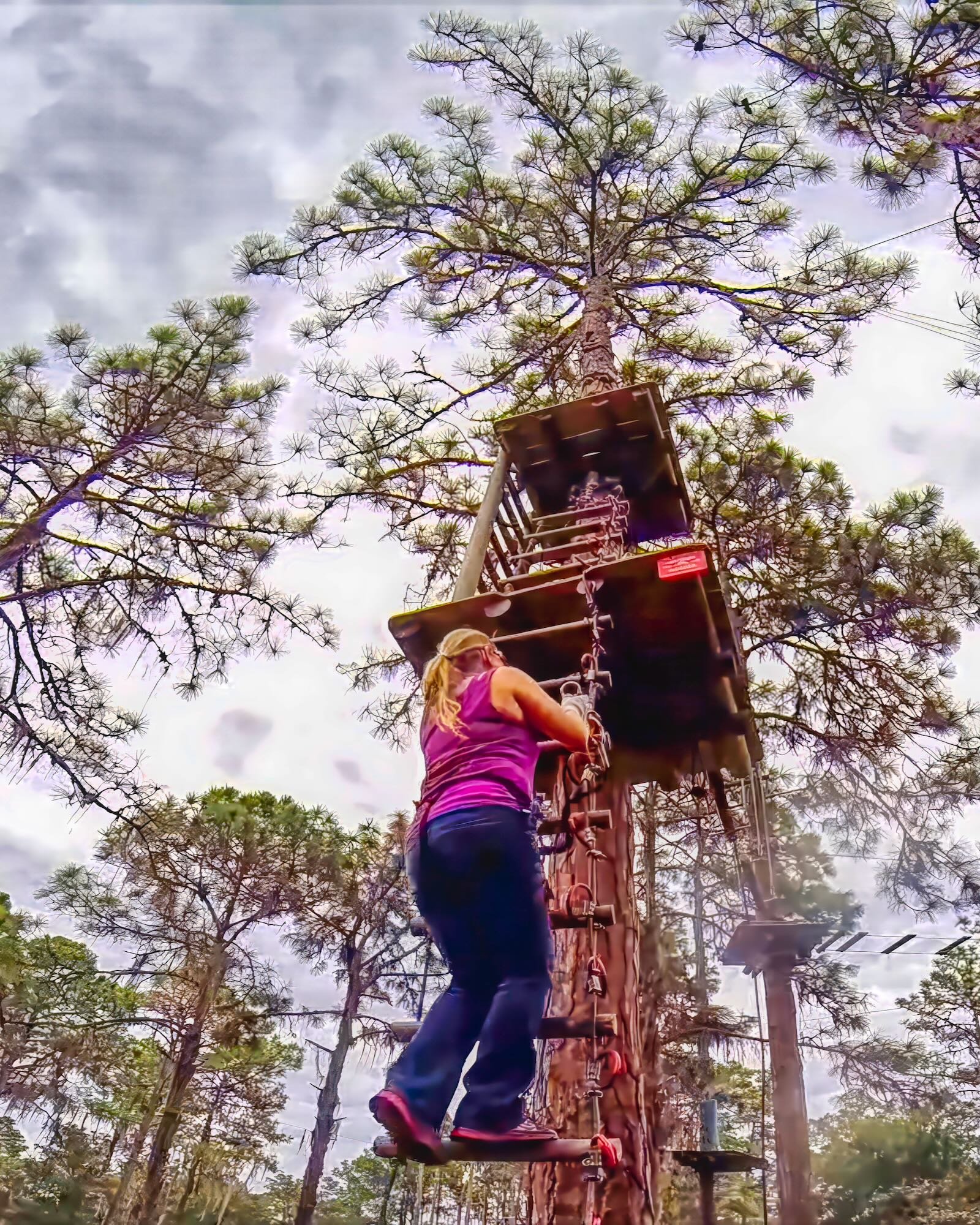 climbing into the towering pines at TreeUmph Adventure Course Bradenton