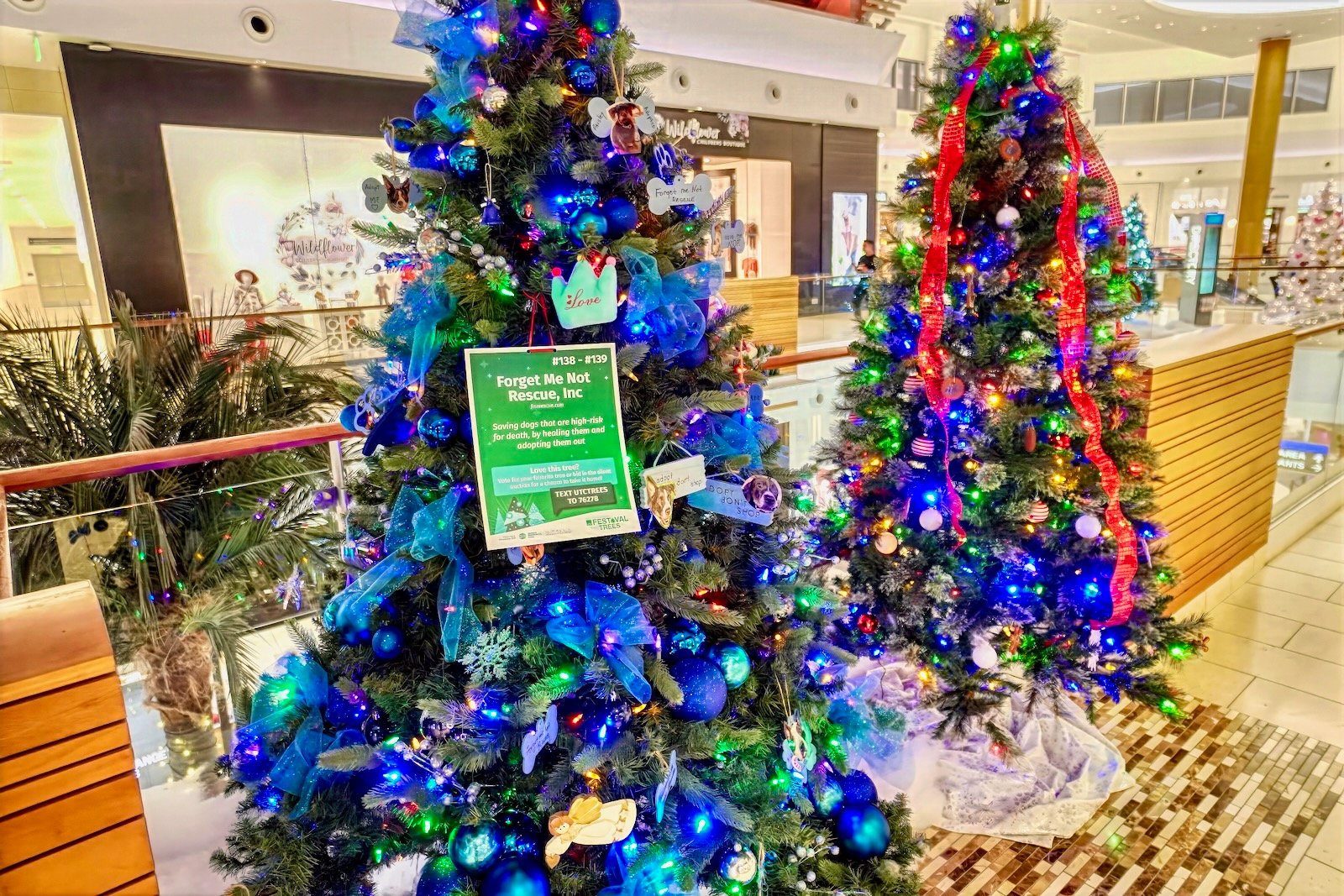 fully decorated for auction Christmas trees at UTC Christmas