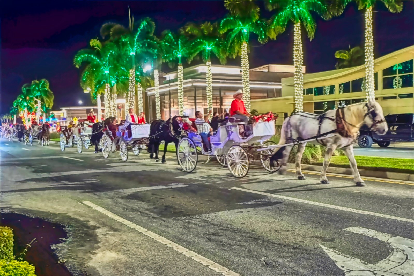 horse drawn carriage rides at UTC Christmas