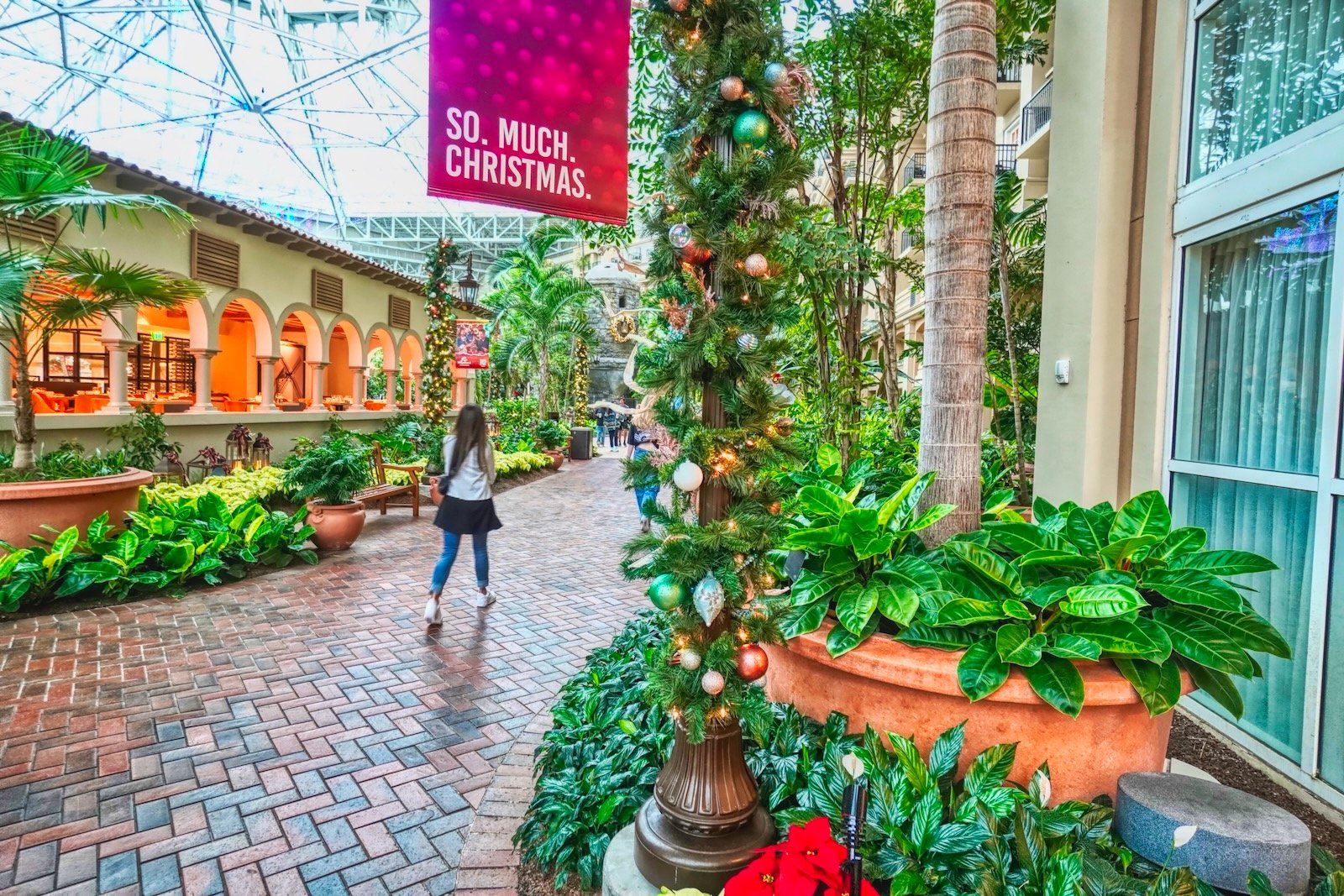 gaylord palms ice! 23