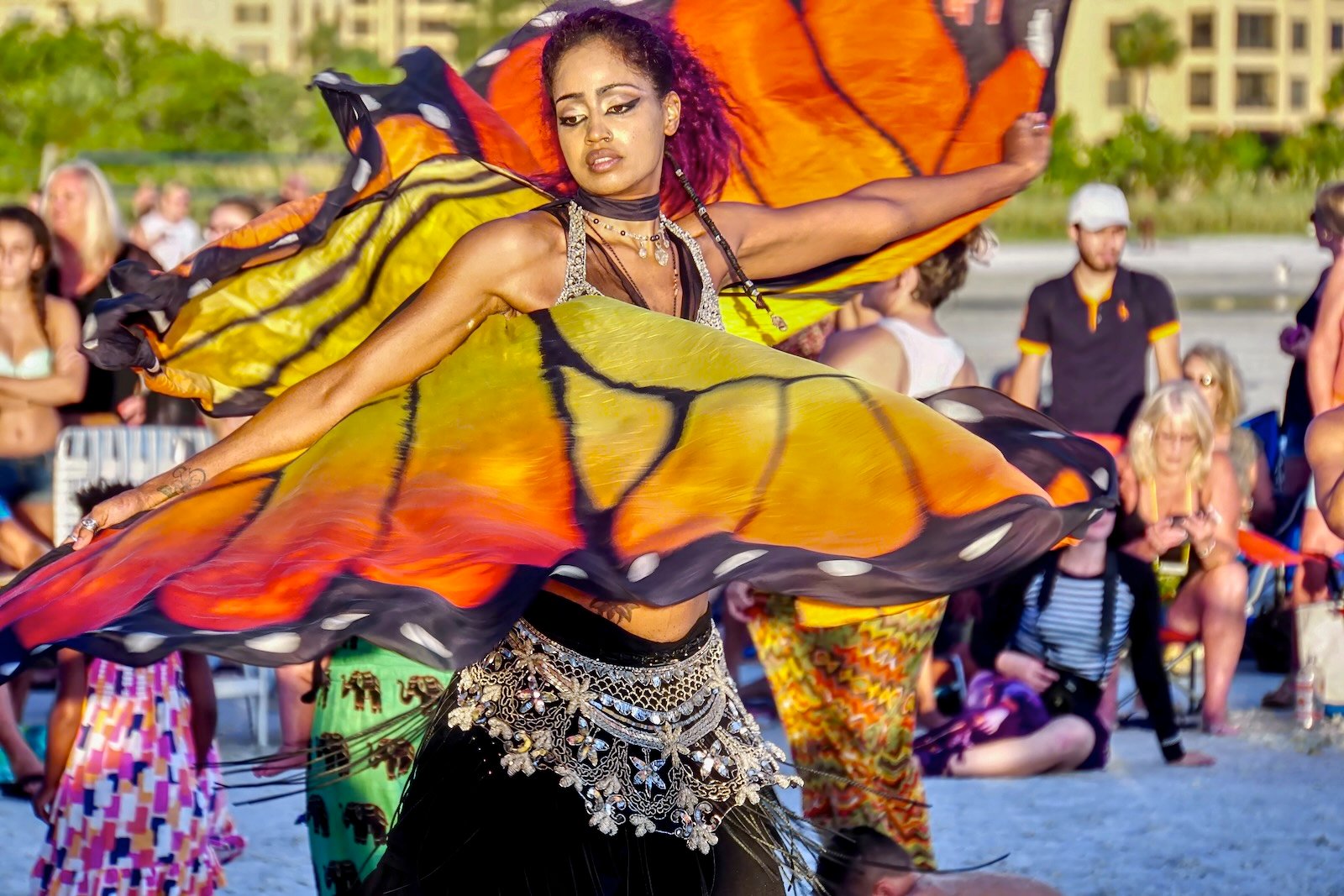 Sarasota Attractions