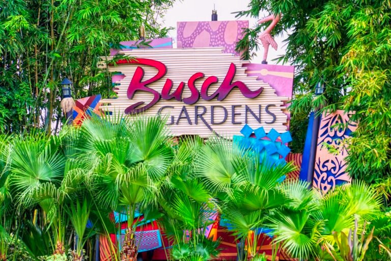 Busch Gardens Tampa