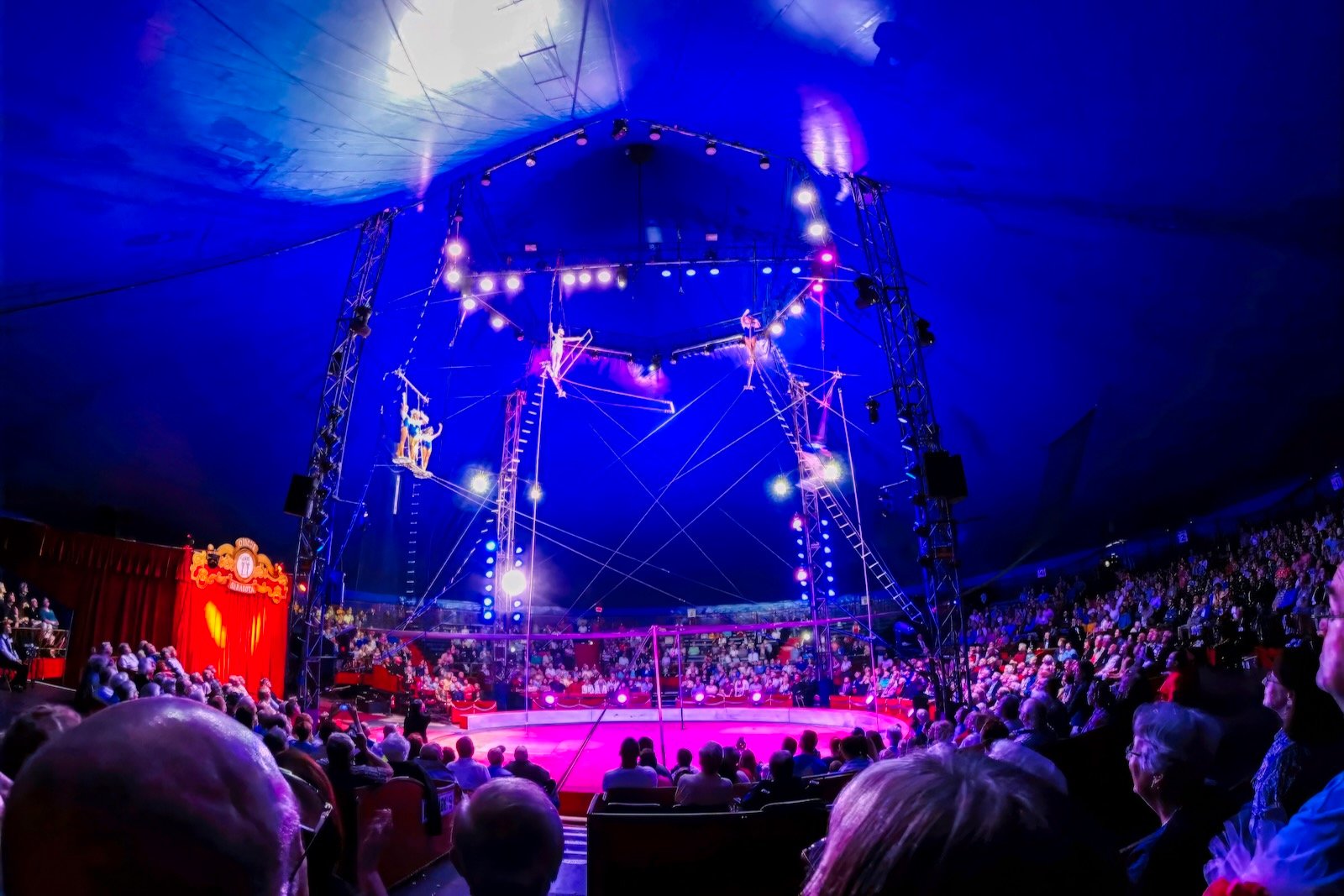 Wanderland featuring Nik Wallenda at UTC Christmas