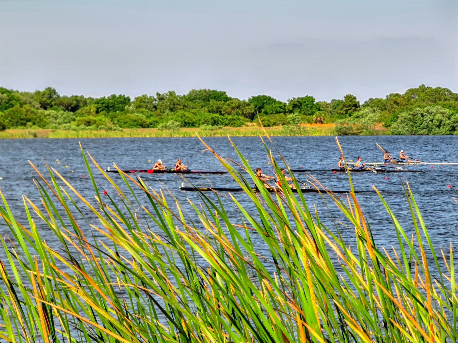 Benderson Park before Cattlemen Road or infrastructure