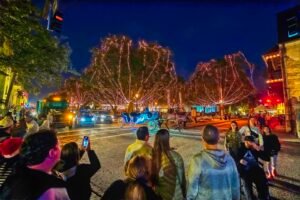 Historic St Augustine Nights of Lights oak trees