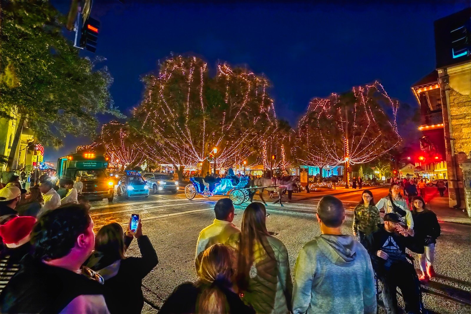 Historic St Augustine Nights of Lights oak trees