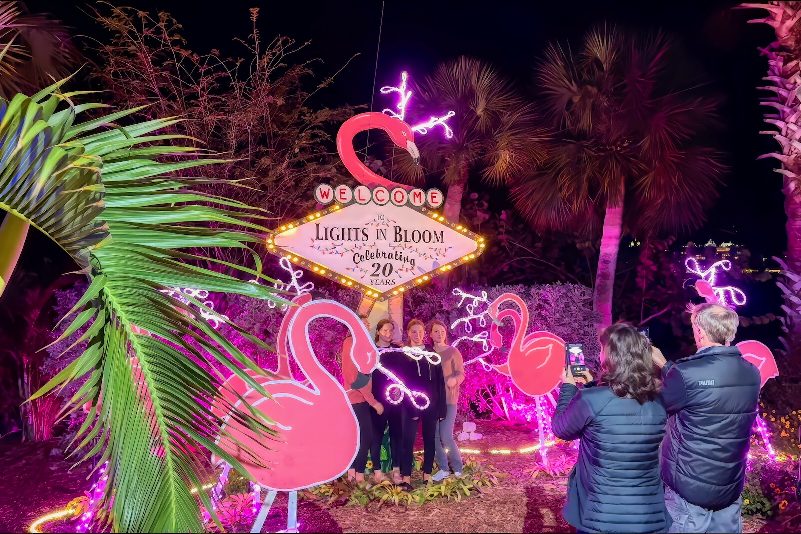 Selby Gardens' Lights in Bloom Sarasota Christmas