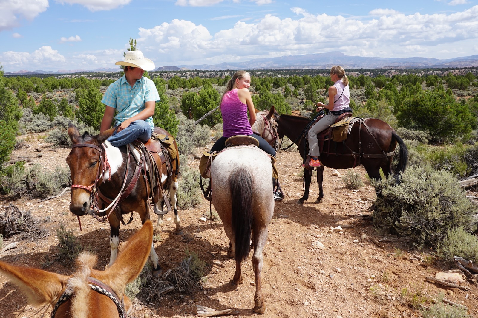 rcadia All-Florida Championship Rodeo